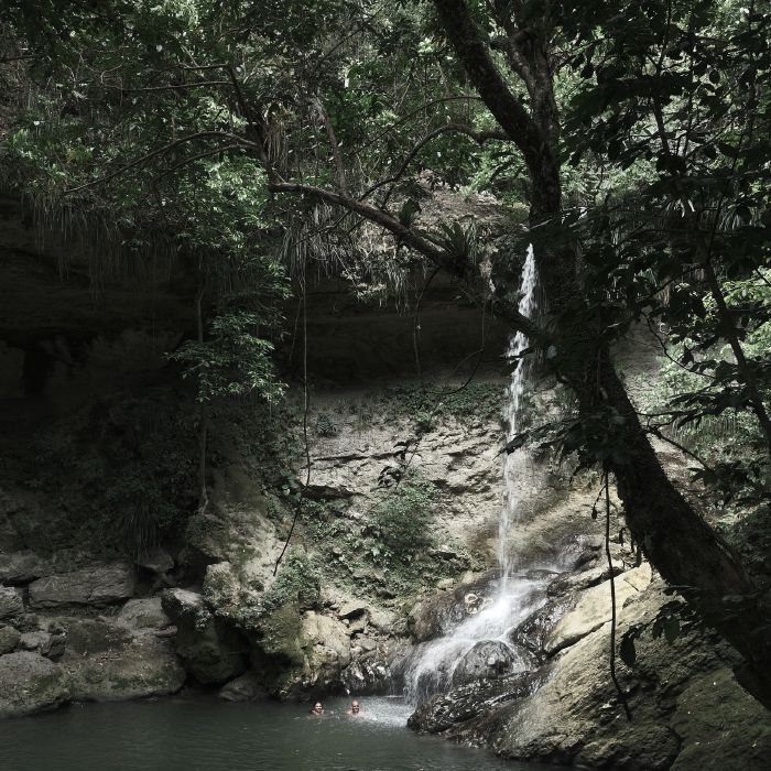 Photo 17